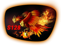 S128 S128