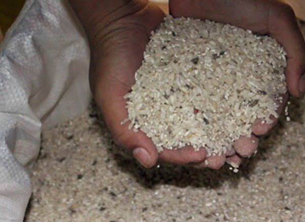 Mùa dịch gạo để lâu trong thùng sinh mối mọt, dạy bạn 1 mẹo để cả tháng vẫn trắng thơm - 4 - kythuatcanhtac.com