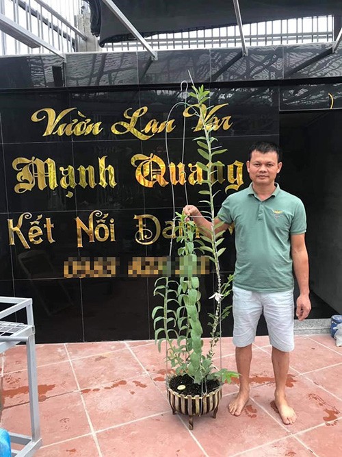 Anh Bùi Mạnh Quang và lần đầu chia sẻ trải nghiệm với lan đột biến - 1 - kythuatcanhtac.com