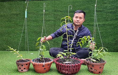 Ông chủ vườn lan 8X Dương Xuân Tú chia sẻ kinh nghiệm chăm lan tốt nhất - 4 - kythuatcanhtac.com