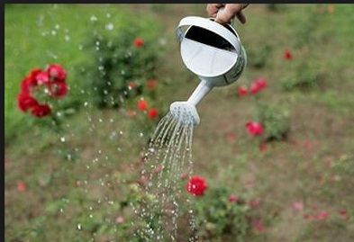 Sử dụng vòi hoa xen để tưới nước cho cây hoa hồng - kythuatcanhtac.com