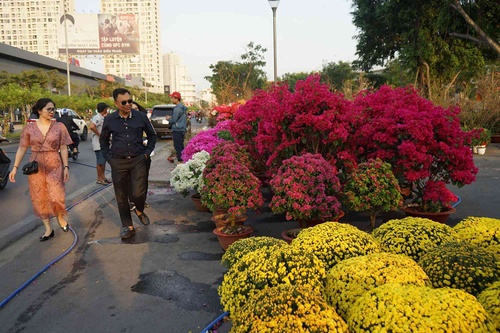 Những loại hoa Tết người Sài Gòn thường mua để mang lại tài lộc, may mắn cả năm - 1 - kythuatcanhtac.com