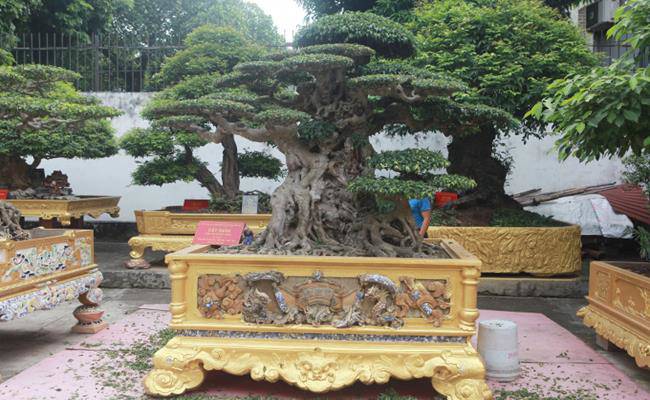 Choáng khi “lạc bước” vào những khu sân vườn bạc tỷ của đại gia Việt - 11 - kythuatcanhtac.com
