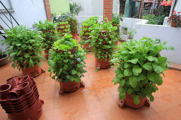Tháp trồng rau hữu cơ Eco - kythuatcanhtac.com