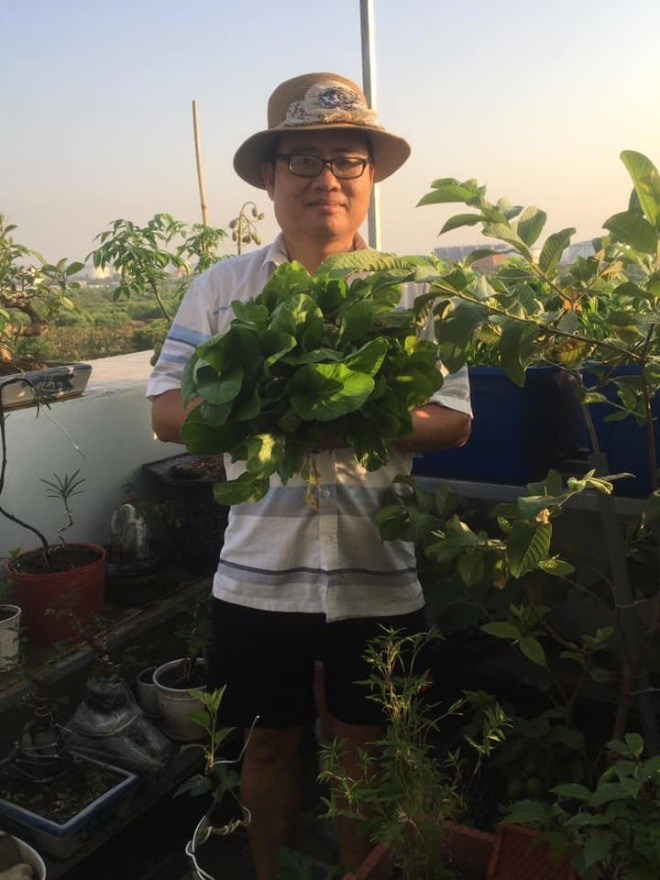 Thầy giáo Sài Gòn trồng rau, nuôi cá trên sân thượng 10m2, vốn 20 triệu giờ ăn không hết - 3 - kythuatcanhtac.com