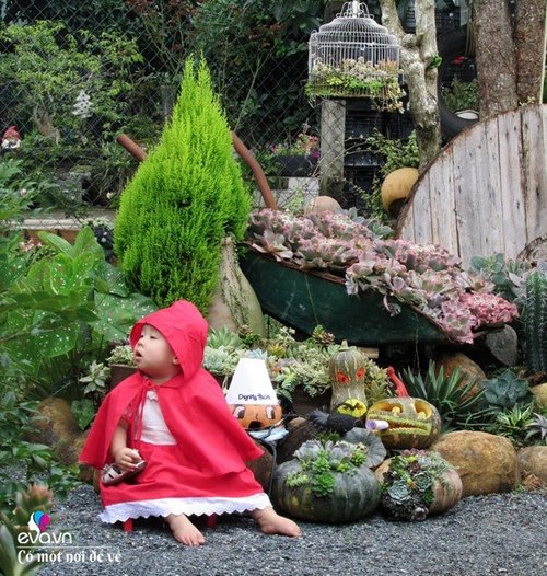 Mẹ 8X “nhặt” đồng nát về trồng hoa, sau 4 năm thành mảnh vườn cổ tích tuyệt đẹp - 11 - kythuatcanhtac.com