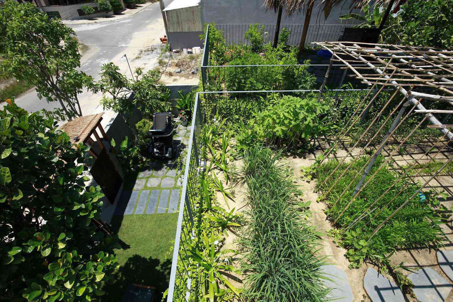 Giữa mùa dịch, gia chủ làm vườn, trồng rau trên mái nhà - 18 - kythuatcanhtac.com