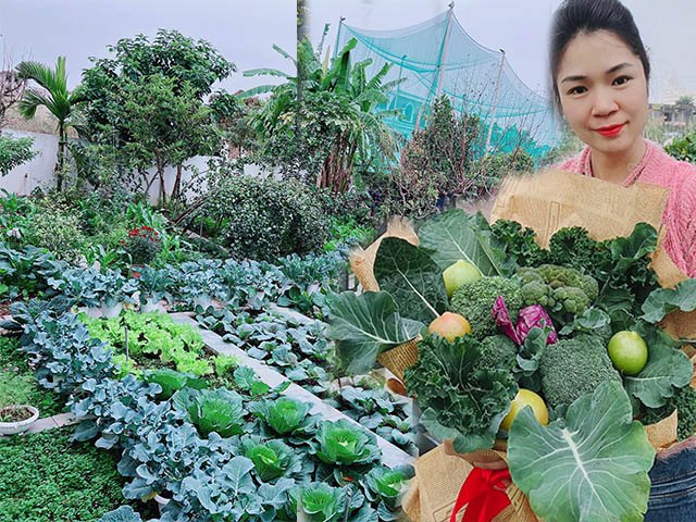 Mẹ bốn con Quảng Ninh làm vườn rộng 300m2, cắm hoa bằng rau củ độc lạ, đẹp như hoa tươi - kythuatcanhtac.com