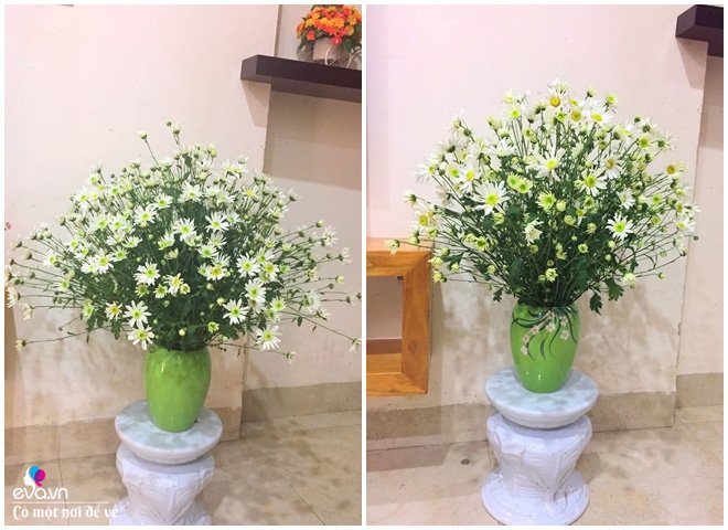 Sau Tết mẹ Hà Nội vẫn khiến ngôi nhà rực rỡ, tràn ngập sắc hoa chỉ với 200 nghìn/tuần - 11 - kythuatcanhtac.com