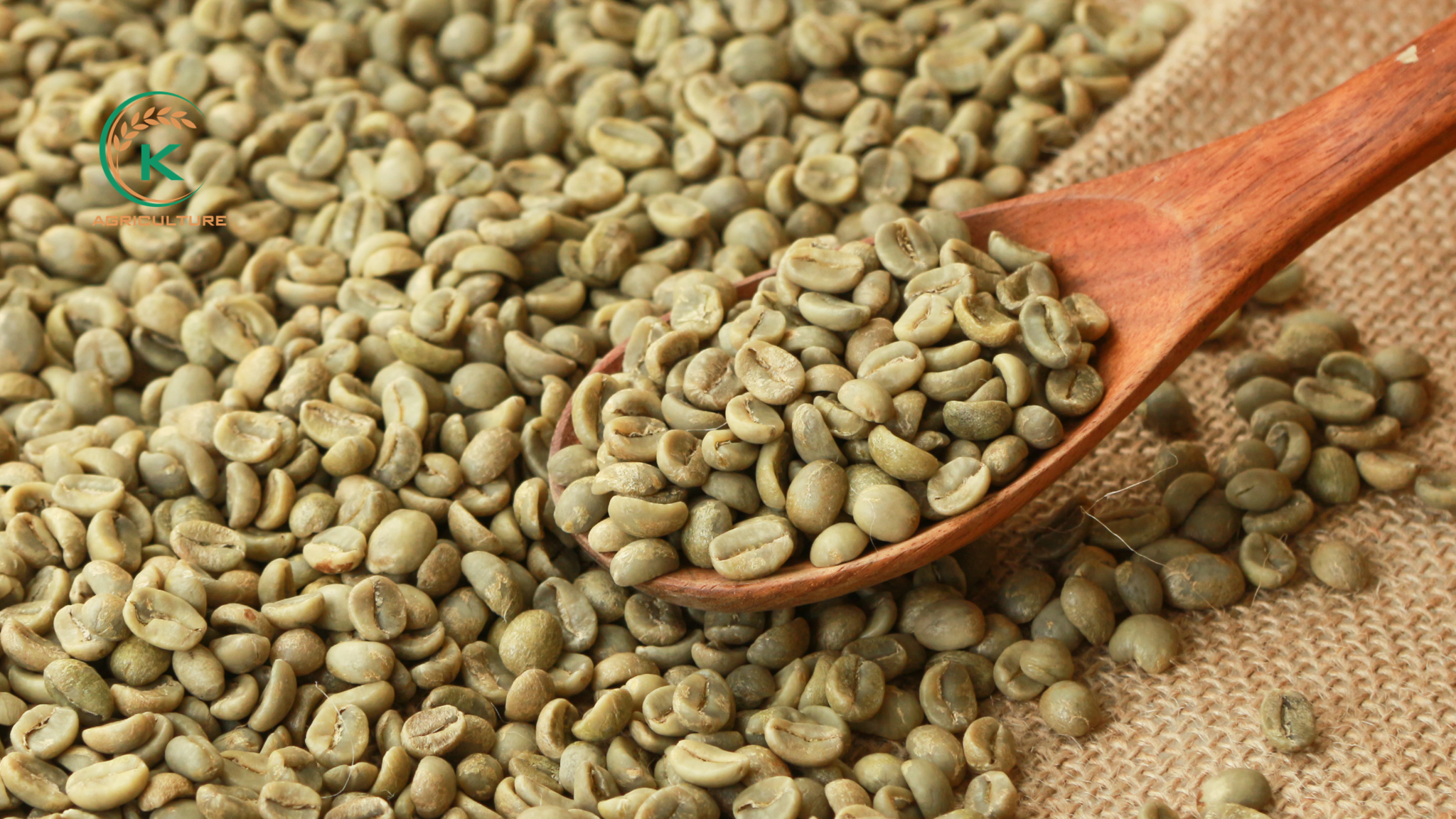 arabica-honey-coffee-and-reasons-to-choose - kythuatcanhtac.com