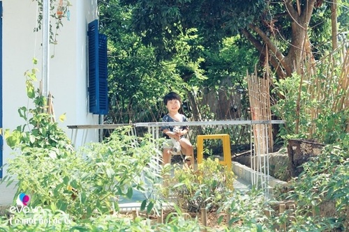 Cô gái 27 tuổi bỏ phố lên vùng sâu cất nhà 20m2, làm vườn, trồng hoa sống an yên - 24 - kythuatcanhtac.com