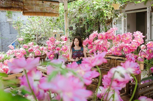 Chiêm ngưỡng khu vườn “trên mây” với chòi hoa đẹp như mơ của bà mẹ trẻ Hà thành - 7 - kythuatcanhtac.com