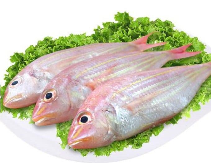 Cá Đổng Cờ- Món ăn ngon được chế biến từ Cá Đổng 14 - kythuatcanhtac.com