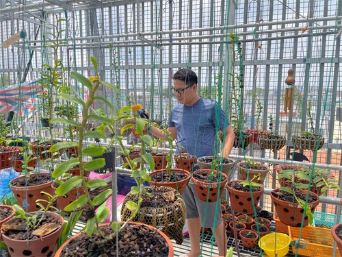 Cùng ông chủ Trần Chiến chia sẻ bí quyết chọn và trồng phong lan - 5 - kythuatcanhtac.com