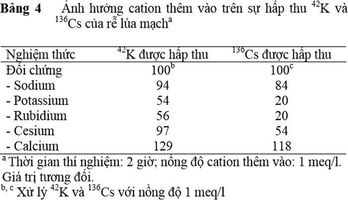 Ảnh hưởng cation thêm vào trên sự hấp thu 42K và 136Cs của rễ lúa mạch - kythuatcanhtac.com
