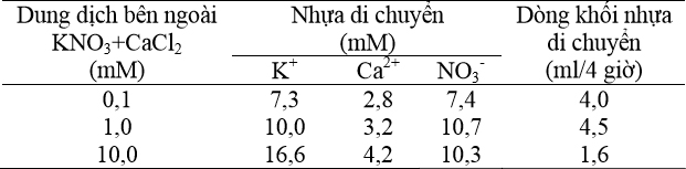 Tương quan giữa nồng độ ion trong dung dịch bên ngoài, nồng độ ion trong nhựa và dòng khối nhựa di chuyển - kythuatcanhtac.com