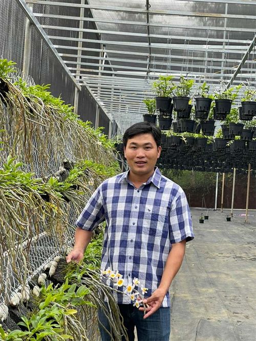 Nghệ nhân Nguyễn Thế Giáo dành cả tuổi trẻ để theo đuổi đam mê hoa lan - 4 - kythuatcanhtac.com