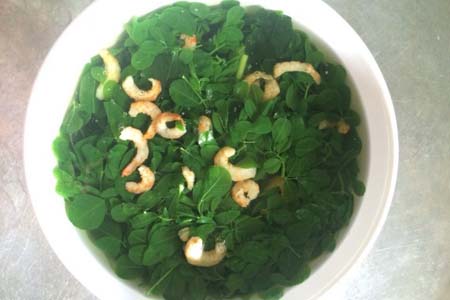 Có thể chế biến nhiều món ăn từ rau chùm ngây - kythuatcanhtac.com