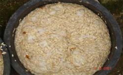 Hạt giống dưa chuột được ngâm ủ trong nước ấm 35 - 40oC - kythuatcanhtac.com
