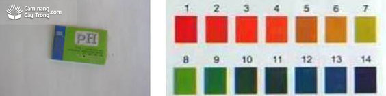 Giấy thử pH và bảng so màu xác định pH đất - kythuatcanhtac.com