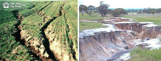 Mặt đất bị chia cắt bởi hiện tượng xói mòn - kythuatcanhtac.com