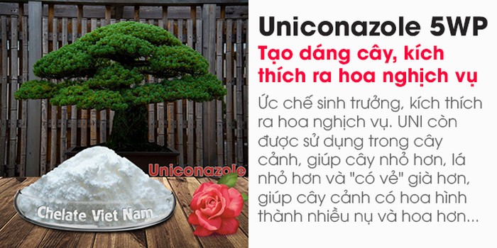 Bán Uniconazole 5WP (Ức chế sinh trưởng, kích thích ra hoa, tạo dáng cây) - kythuatcanhtac.com