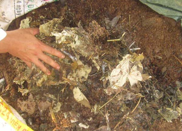 Phân ủ sinh hoạt (Bio-Compost) - kythuatcanhtac.com