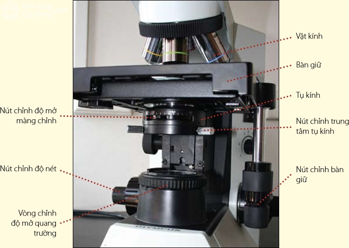 Các bộ phận của kính hiển vi 01 - kythuatcanhtac.com