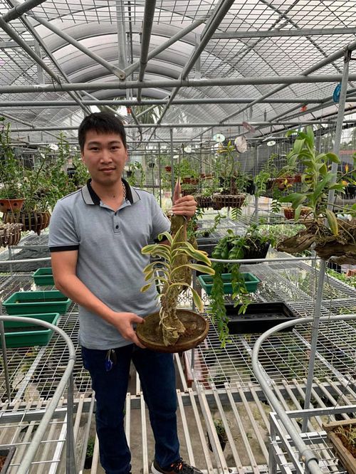 “Học lỏm” cách chọn mua và nuôi trồng lan từ ông chủ vườn lan Duy Trọng Hải - 4 - kythuatcanhtac.com