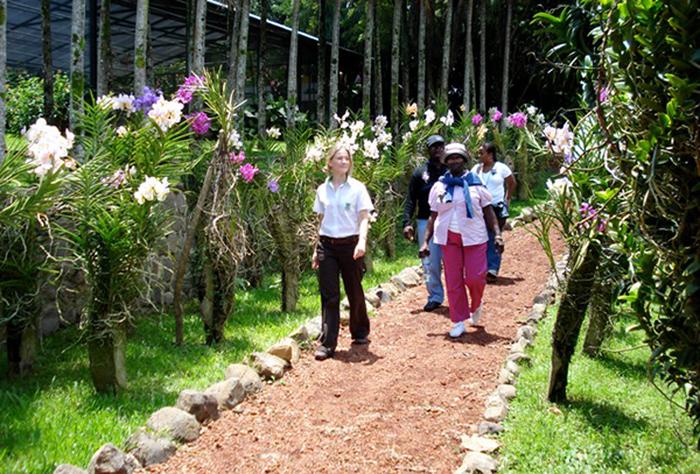 Tình hình sản xuất, nuôi trồng hoa lan trên thế giới - kythuatcanhtac.com