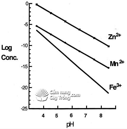 Ảnh hưởng của pH đất đến hiệu quả của vi lượng - kythuatcanhtac.com