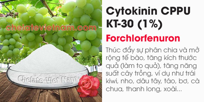 Bán Cytokinin CPPU KT-30 (Tăng kích thước trái cây) Forchlorfenuron - kythuatcanhtac.com