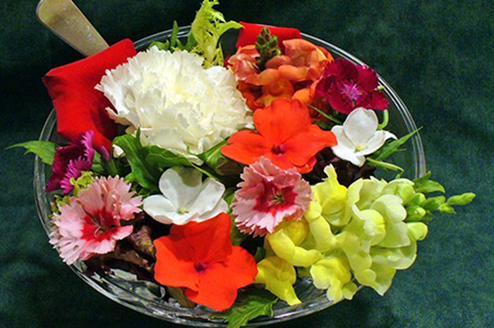 Hướng dẫn kỹ thuật trồng và chăm sóc hoa păng - xê - kythuatcanhtac.com