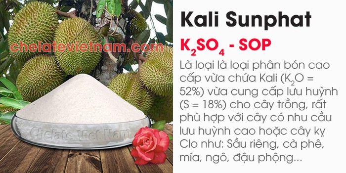 Bán buôn bán lẻ Kali SUnphat (K2SO4) - kythuatcanhtac.com