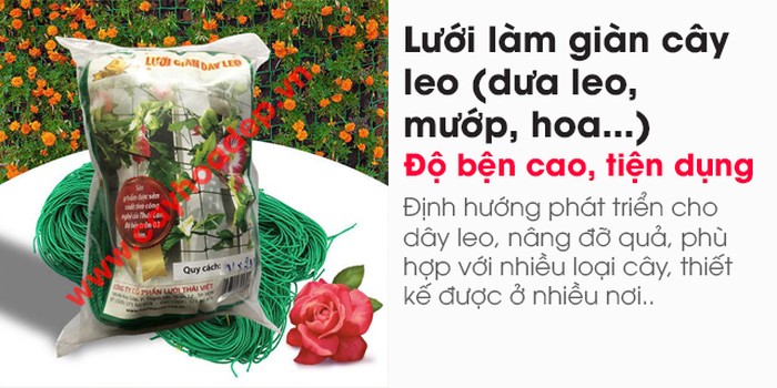 Bán lưới làm giàn cây leo (dưa leo, mướp, hoa...) - kythuatcanhtac.com