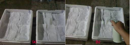 a. Trải khăn giấy lên trên khawy - b. Phun nước giữ ẩm - kythuatcanhtac.com
