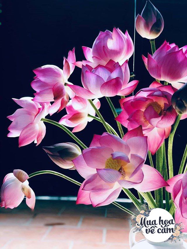 Muôn kiểu cắm hoa sen đẹp hút hồn của chị em Việt, nhìn là muốn amp;#34;rướcamp;#34; ngay 1 bình - 17 - kythuatcanhtac.com