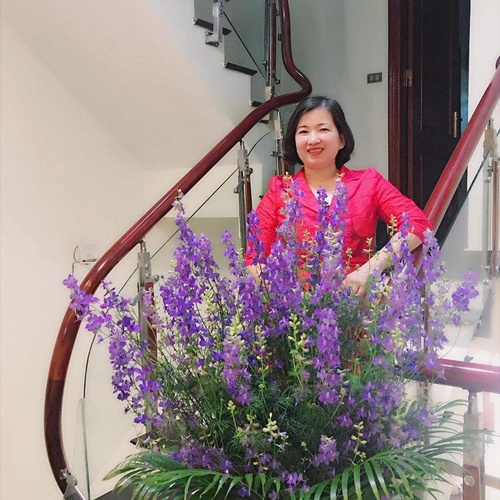 Sau Tết mẹ Hà Nội vẫn khiến ngôi nhà rực rỡ, tràn ngập sắc hoa chỉ với 200 nghìn/tuần - 3 - kythuatcanhtac.com