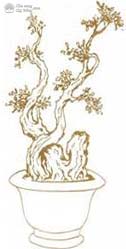 Các dáng thế cơ bản của cây cảnh nghệ thuật, bonsai - kythuatcanhtac.com