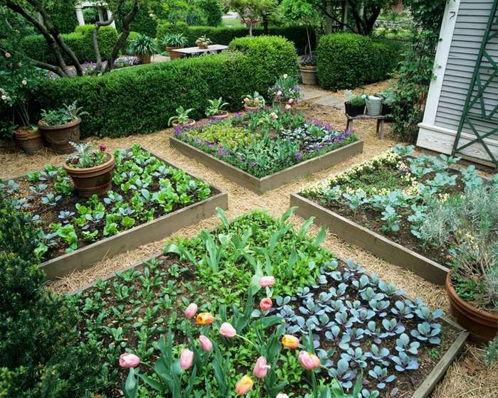 Mẹo làm vườn cho nhà thêm nổi bật - kythuatcanhtac.com