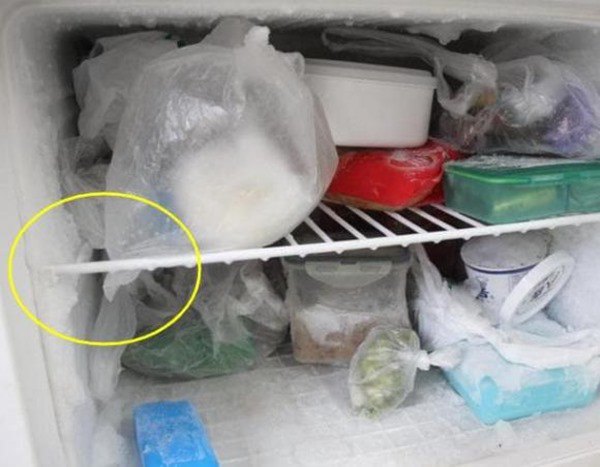 Tiền điện tăng vù vù hóa ra tủ lạnh đóng tuyết là “thủ phạm”, mách bạn cách loại bỏ - 3 - kythuatcanhtac.com