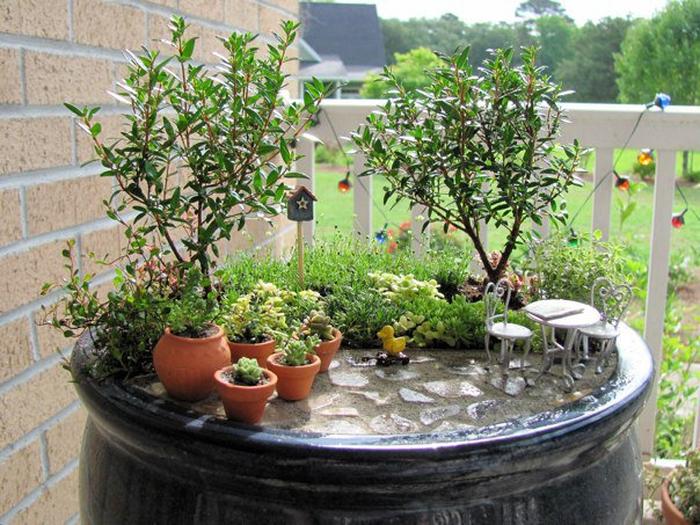 Cách thu nhỏ cây cảnh bonsai - kythuatcanhtac.com