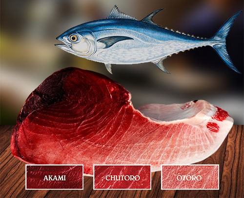 Nguồn dinh dưỡng từ thịt cá ngừ - kythuatcanhtac.com