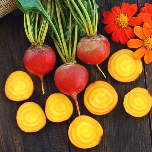 Hướng dẫn cách trồng củ cải vàng thay đổi khẩu vị - kythuatcanhtac.com