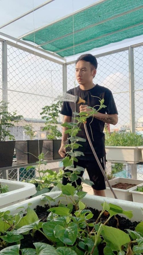 Nhà Celeb: Ca sĩ Phạm Trưởng tốn 100 triệu làm vườn, tự thu hoạch không phải đi mua - 7 - kythuatcanhtac.com