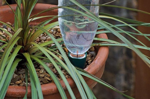 Tuyệt chiêu giúp cây cảnh tự tưới nước , giữ ẩm cho cây - kythuatcanhtac.com