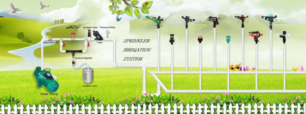 Giải pháp chọn hệ thống tưới phù hợp cho sân vườn nhà phố - kythuatcanhtac.com