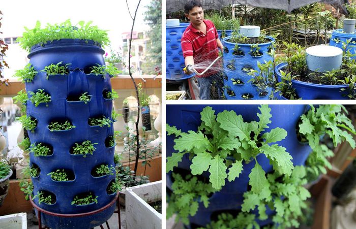 4 mô hình trồng rau thông minh tại nhà - kythuatcanhtac.com