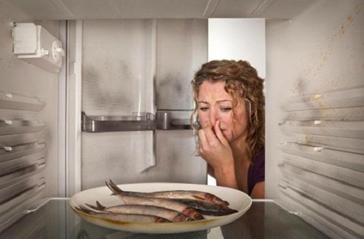 6 dấu hiệu tủ lạnh bị xuống cấp cần bảo dưỡng ngay - kythuatcanhtac.com