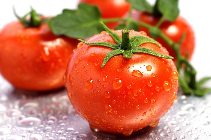 Tuyệt chiêu trồng cà chua thái lát độc đáo - kythuatcanhtac.com